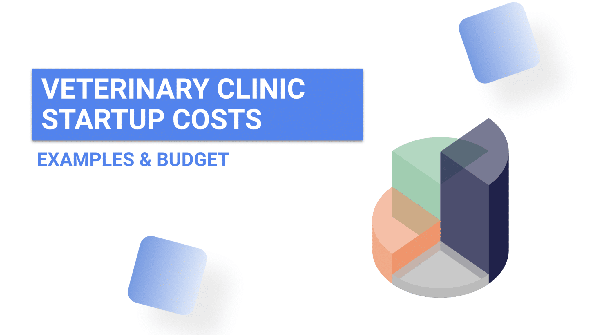 startup costs vet clinic